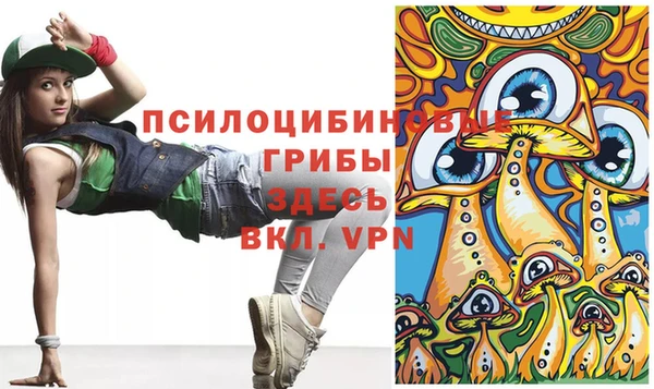 мяу мяу мука Абаза