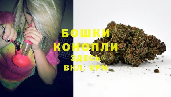 мяу мяу мука Абаза
