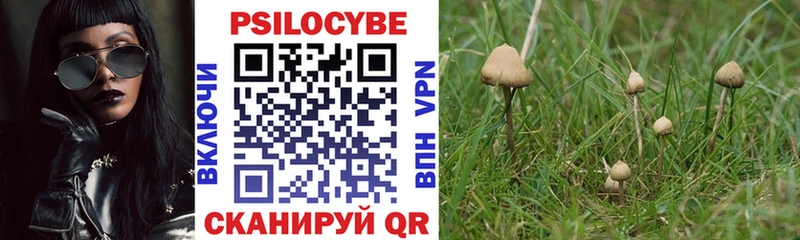Галлюциногенные грибы Psilocybe  Братск 