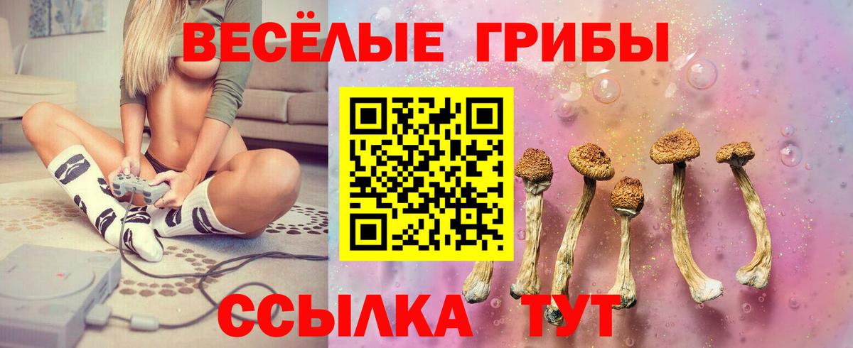 Псилоцибиновые грибы Psilocybine cubensis  Псилоцибиновые грибы Cubensis  Вход с VPN  дарнет шоп  Братск 
