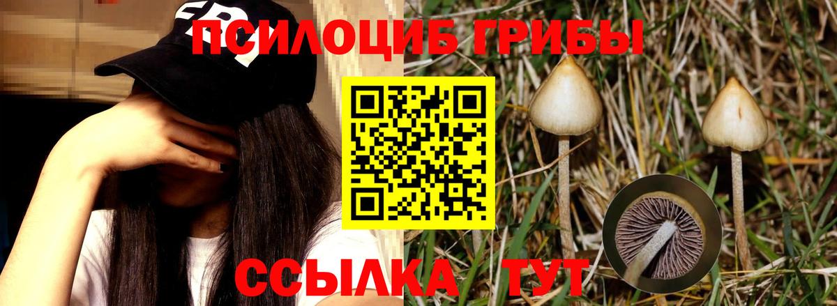 Галлюциногенные грибы MAGIC MUSHROOMS Братск